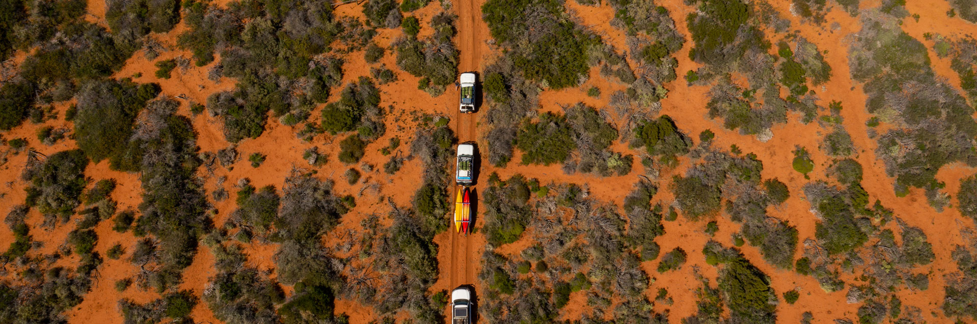 Steep Point Safari