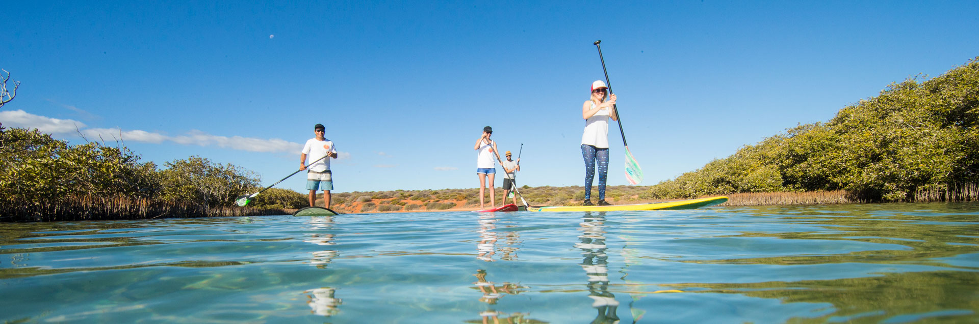 Stand-up Paddle Board Tours