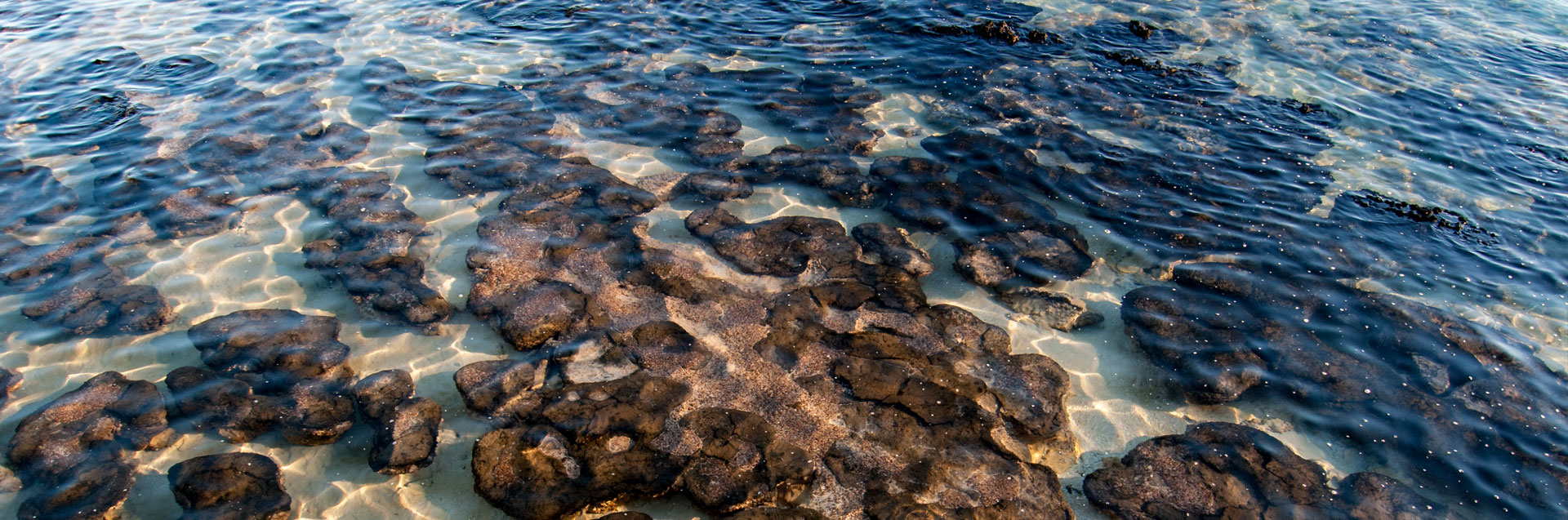 Stromatolites 4WD Adventure