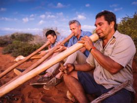 didgeridoo-pic-1.jpg